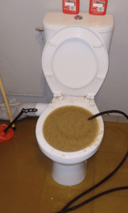 Toilettes bouchées avec remontée d’eaux usées nécessitant un débouchage en urgence